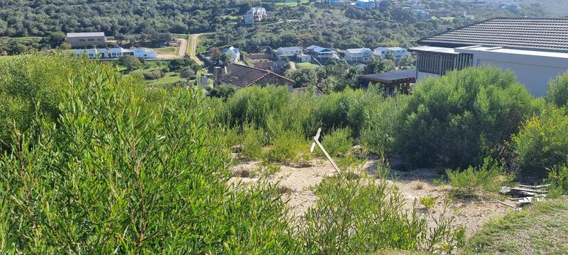 0 Bedroom Property for Sale in Groot Brakrivier Central Western Cape